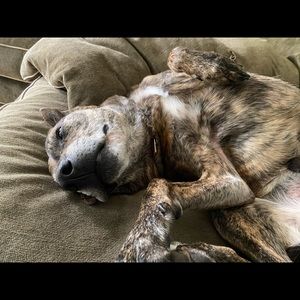 Meet your Posher, Max